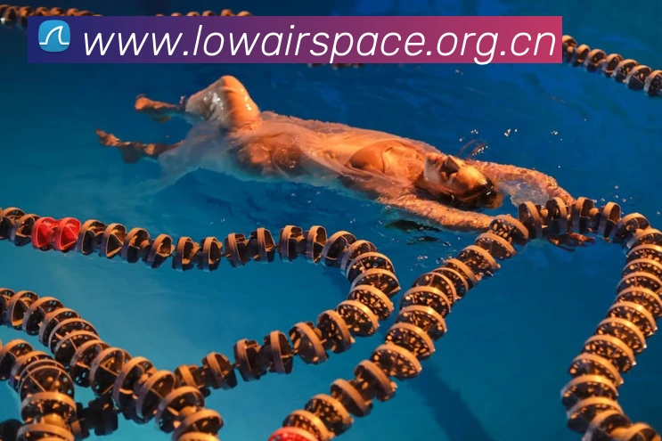 数据防护可视化